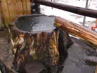 20080314-4.JPG