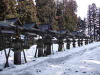 20080315-1.JPG
